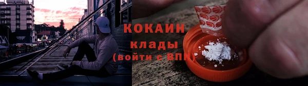 твердый Аркадак