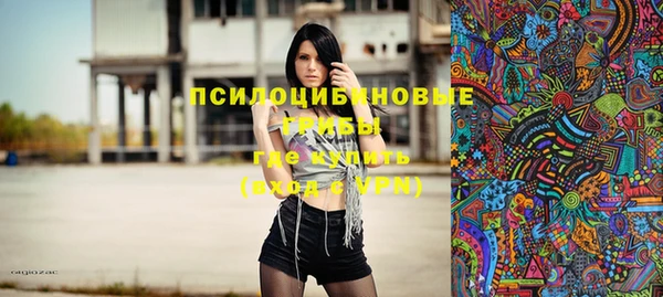твердый Аркадак
