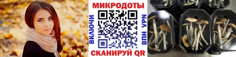 Псилоцибиновые грибы прущие грибы продажа наркотиков Белинский